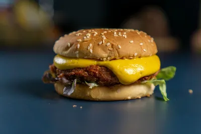 Cover image for Vegane Burger-Laibchen