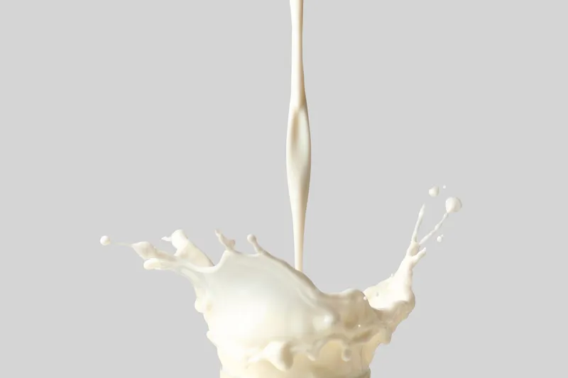 Laktoseintoleranz: Warum laktosefrei essen nicht reicht