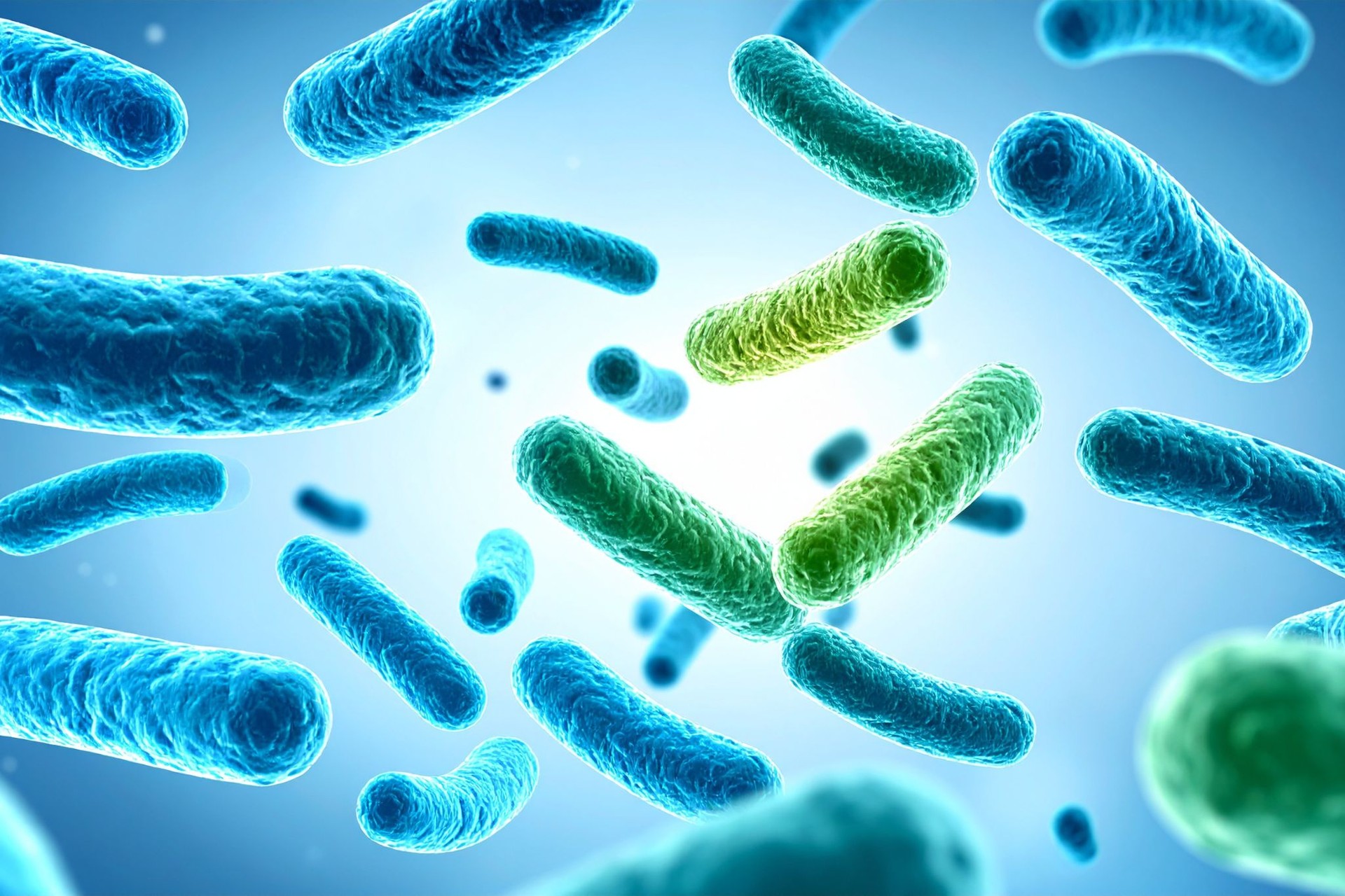 Probiotika: Sinnvolle Erweiterung deines Darmzoos?