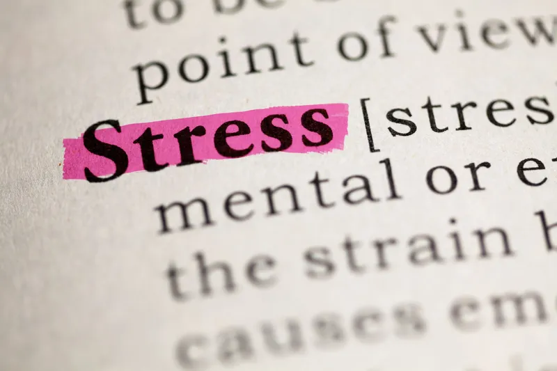 HRV & Cortisol: So machst du Stress sichtbar