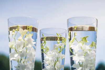 Cover image for Warum Wasser für dich lebensnotwendig ist